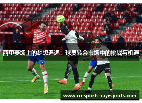 西甲赛场上的梦想追逐：球员转会市场中的挑战与机遇