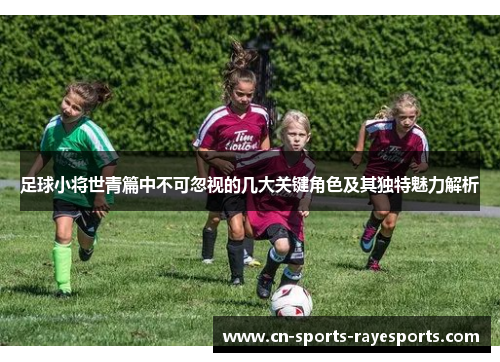 足球小将世青篇中不可忽视的几大关键角色及其独特魅力解析 足球小将世青篇中不可忽视的几大关键角色及其独特魅力解析